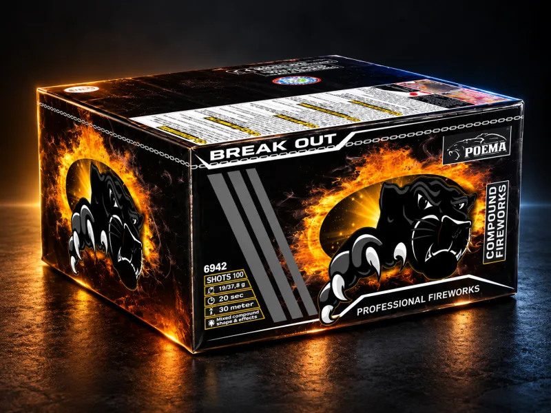Break Out - photo 1