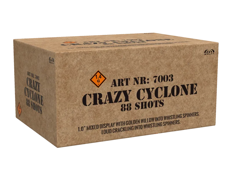 Crazy Cyclone - photo 2