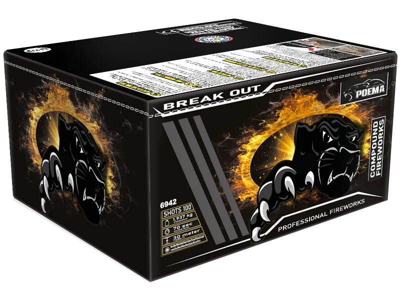 Break Out - photo 2