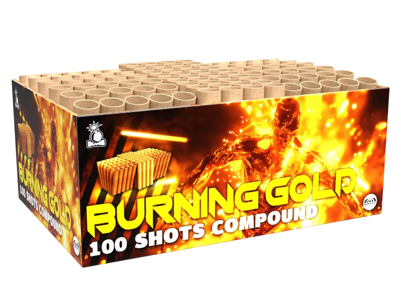 Burning Gold - photo 2